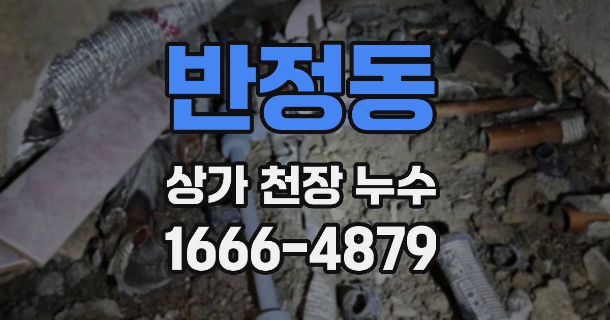 반정동 상가 천장 누수