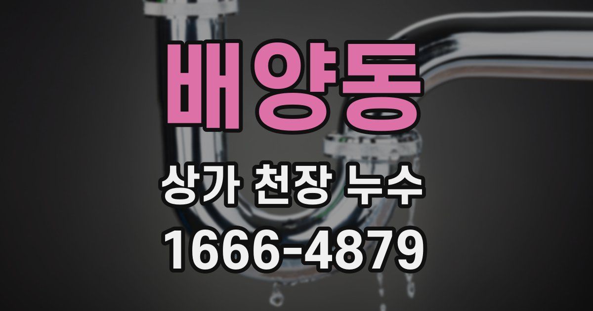 배양동 상가 천장 누수