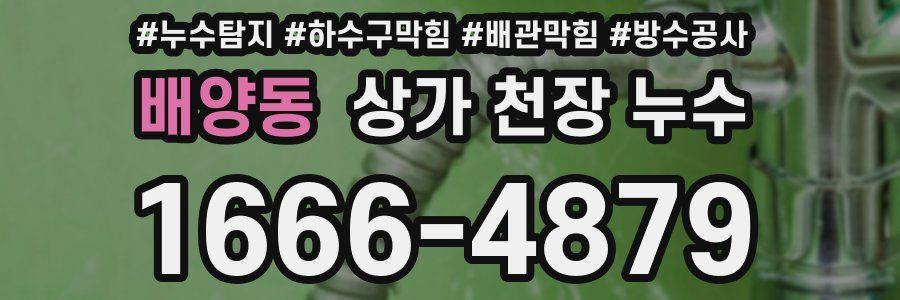 배양동 상가 천장 누수
