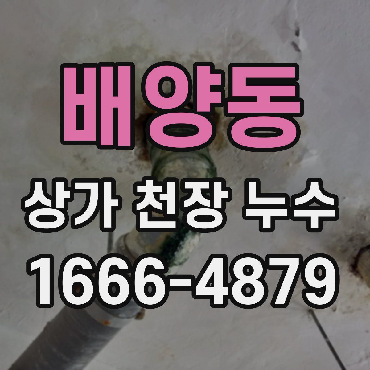 배양동 상가 천장 누수