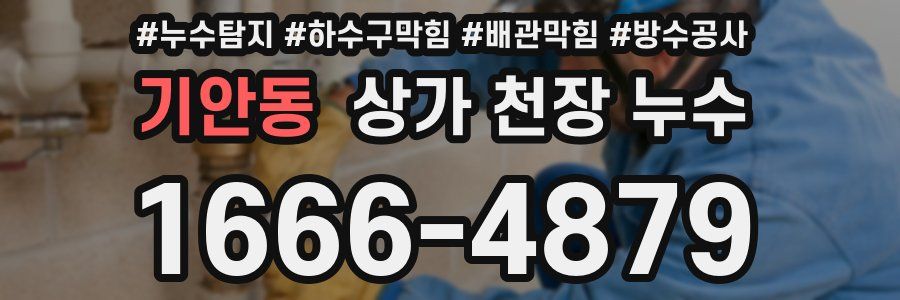 기안동 상가 천장 누수