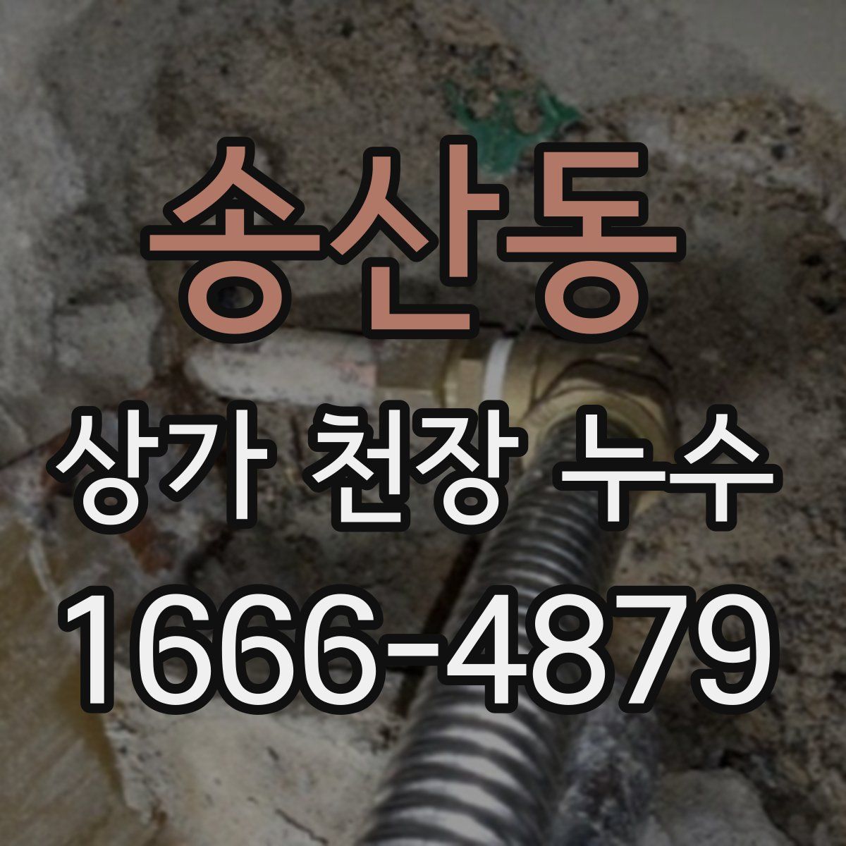 송산동 상가 천장 누수