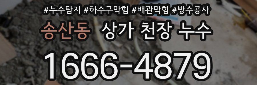 송산동 상가 천장 누수