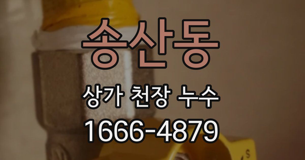 송산동 상가 천장 누수