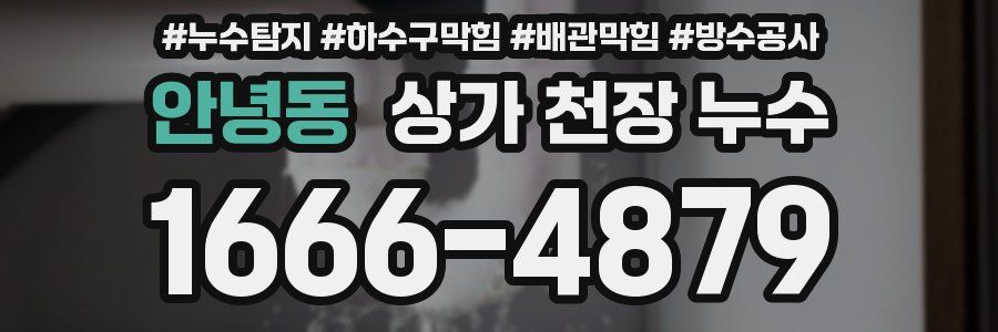 안녕동 상가 천장 누수