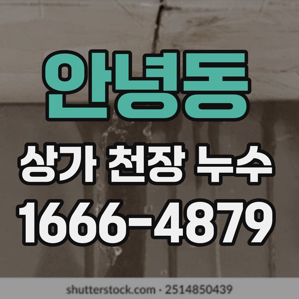 안녕동 상가 천장 누수