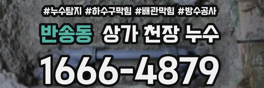 반송동 상가 천장 누수
