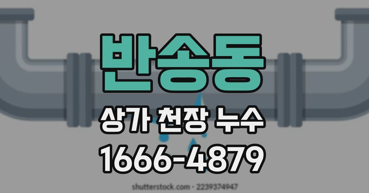 반송동 상가 천장 누수