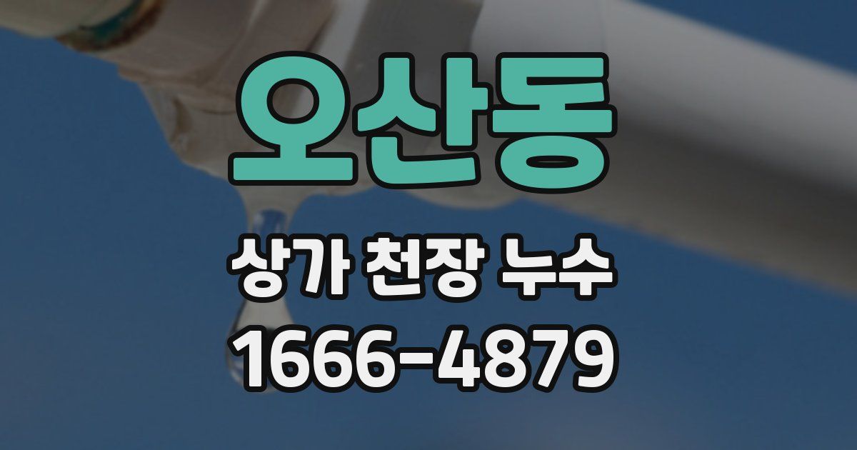 오산동 상가 천장 누수
