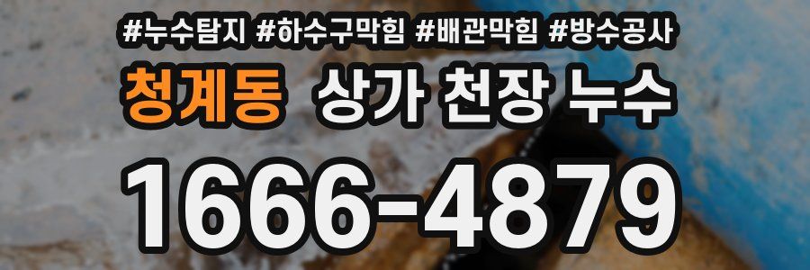 청계동 상가 천장 누수