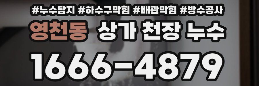 영천동 상가 천장 누수