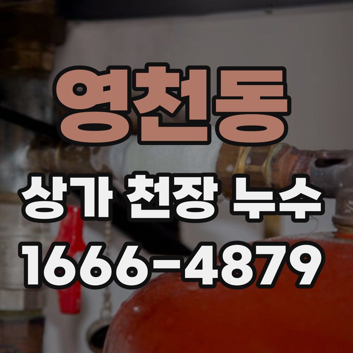 영천동 상가 천장 누수