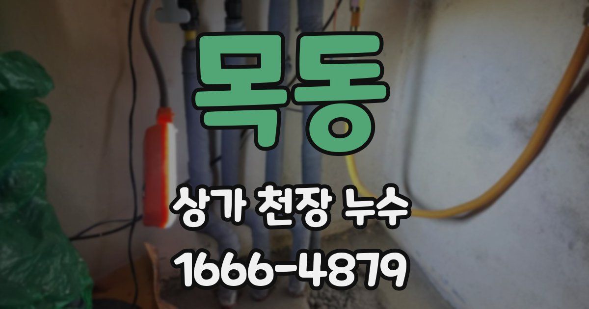 목동 상가 천장 누수