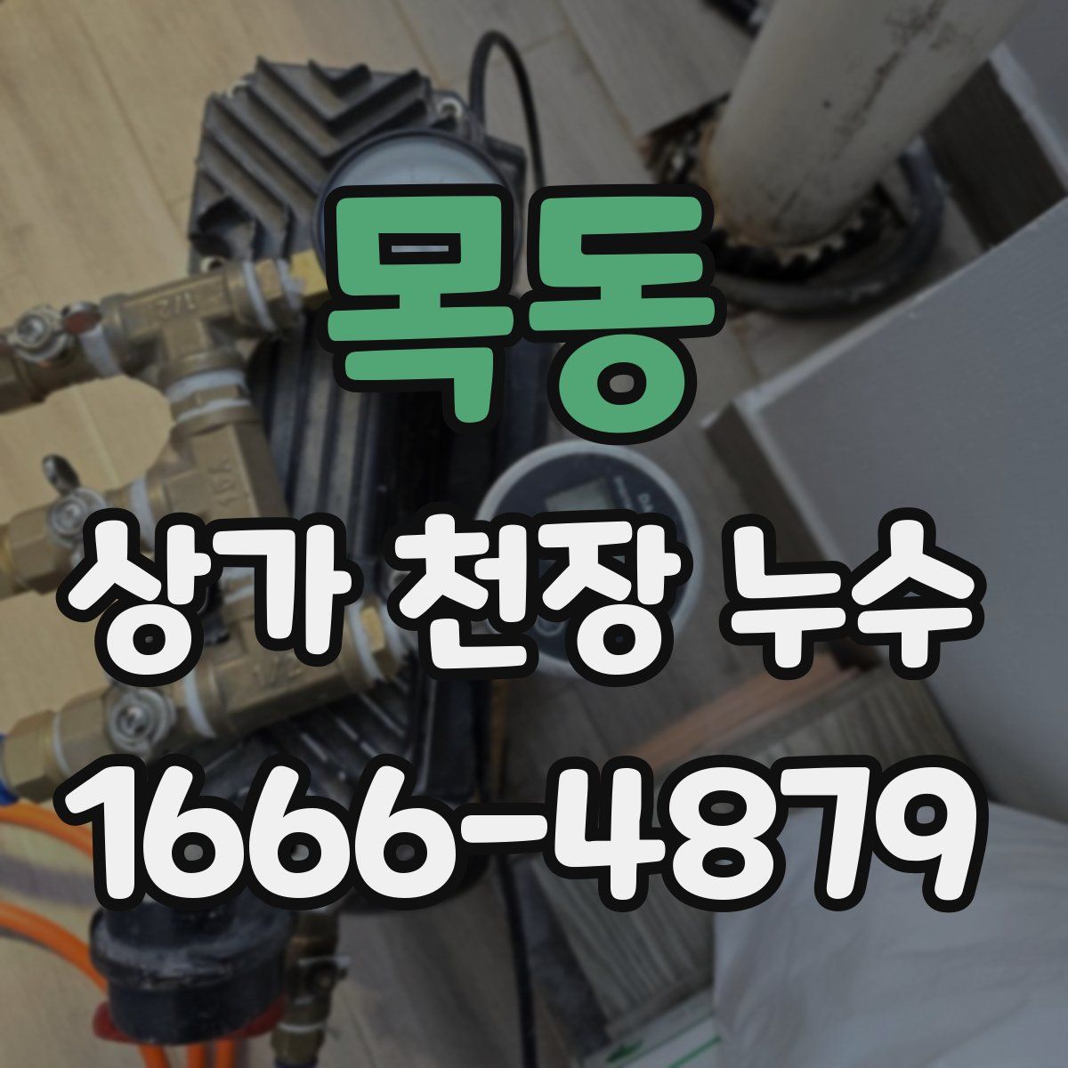 목동 상가 천장 누수