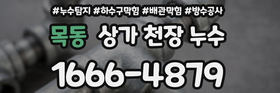 목동 상가 천장 누수