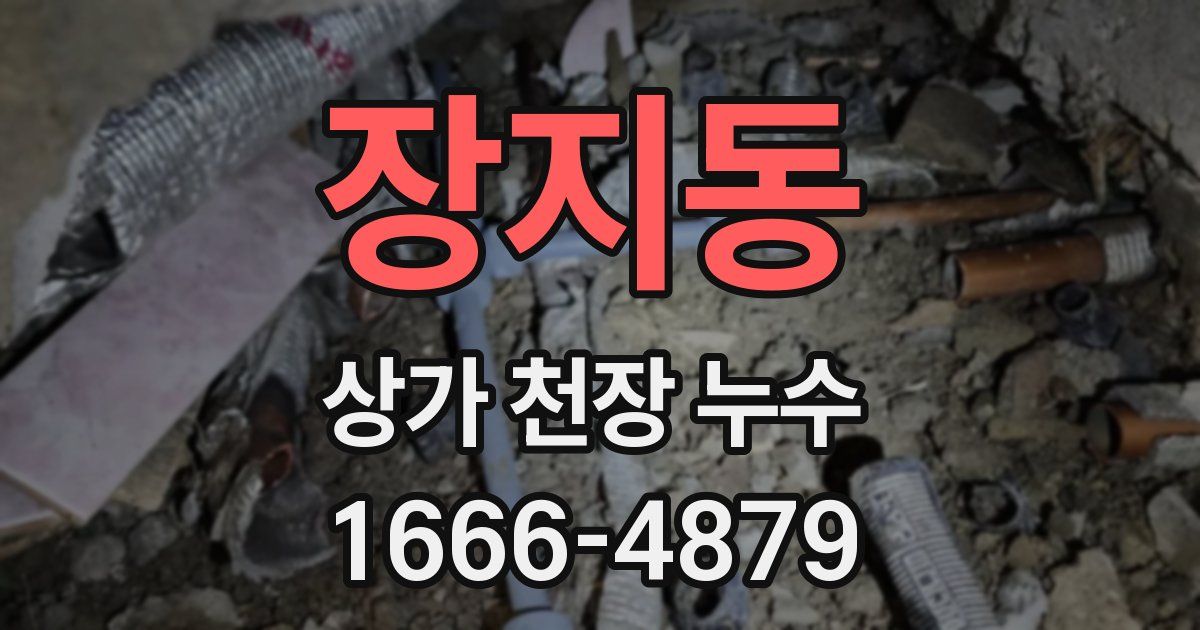 장지동 상가 천장 누수
