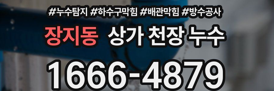 장지동 상가 천장 누수