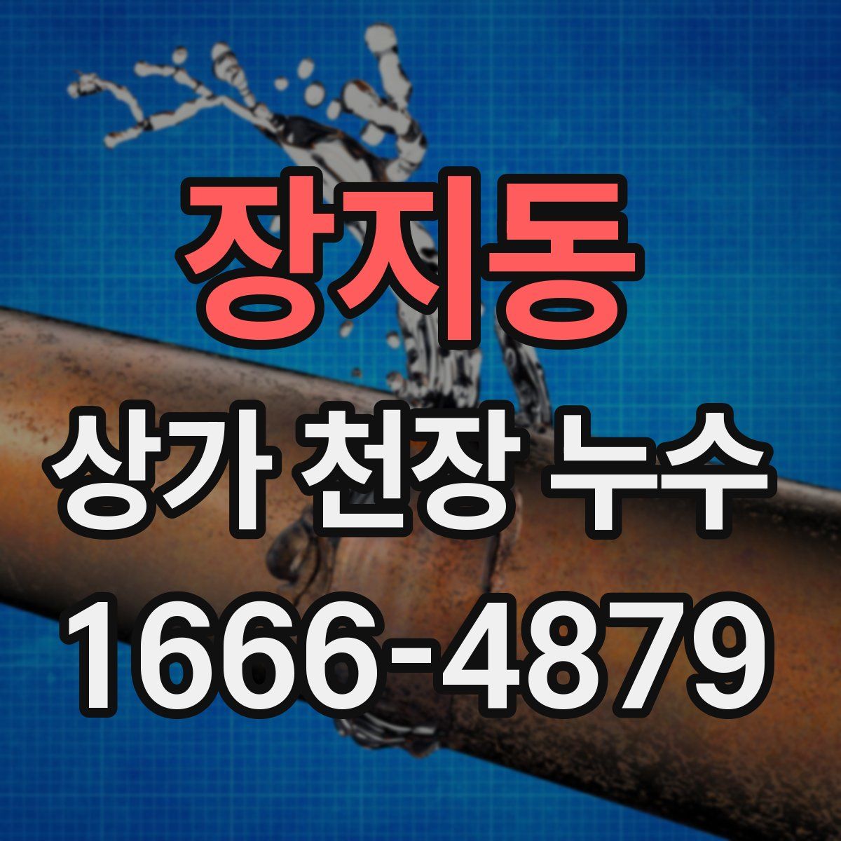 장지동 상가 천장 누수