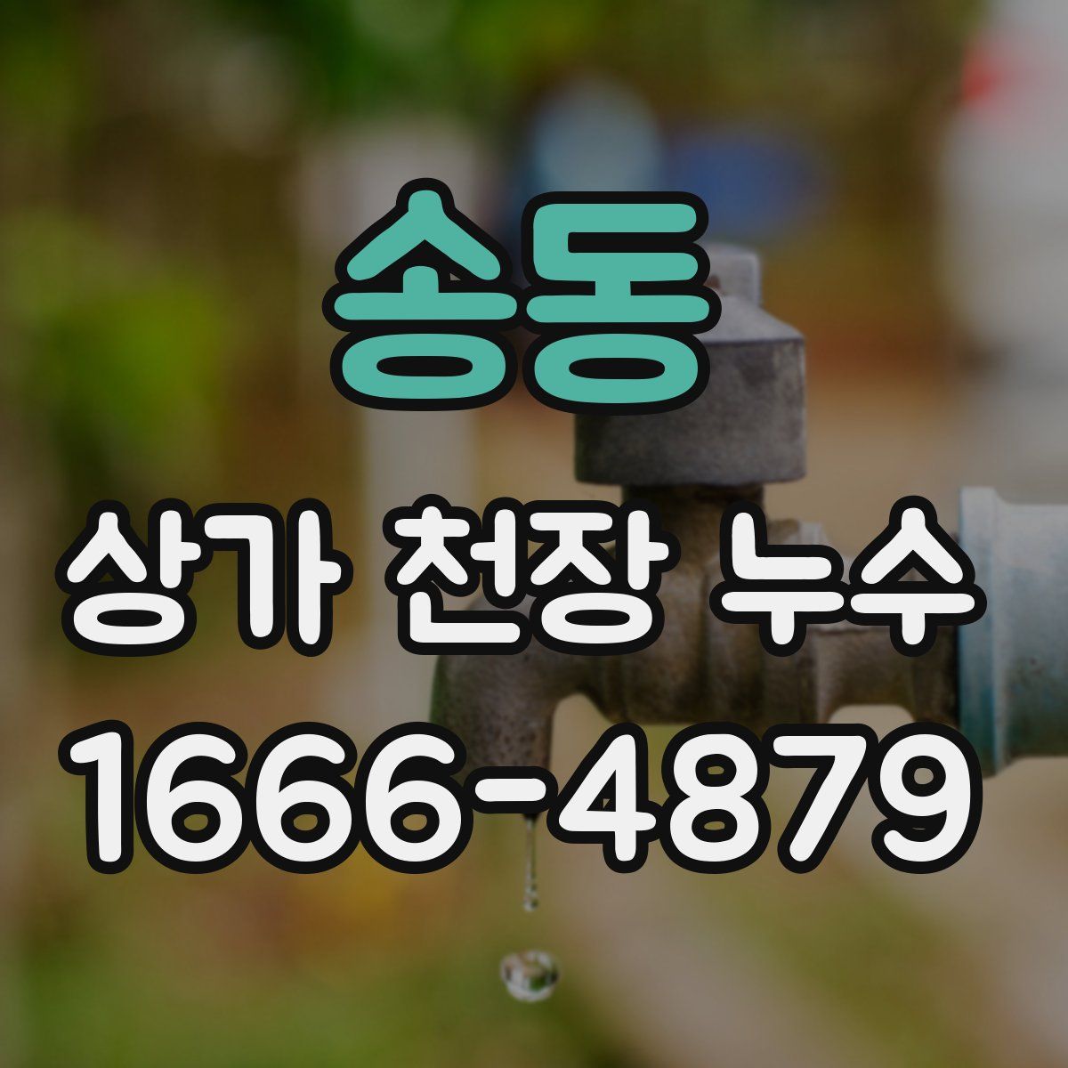 송동 상가 천장 누수