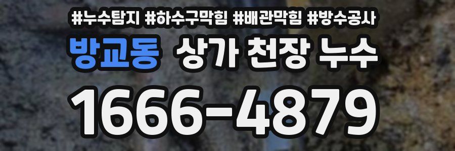 방교동 상가 천장 누수
