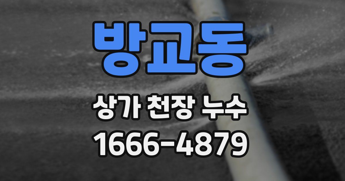 방교동 상가 천장 누수