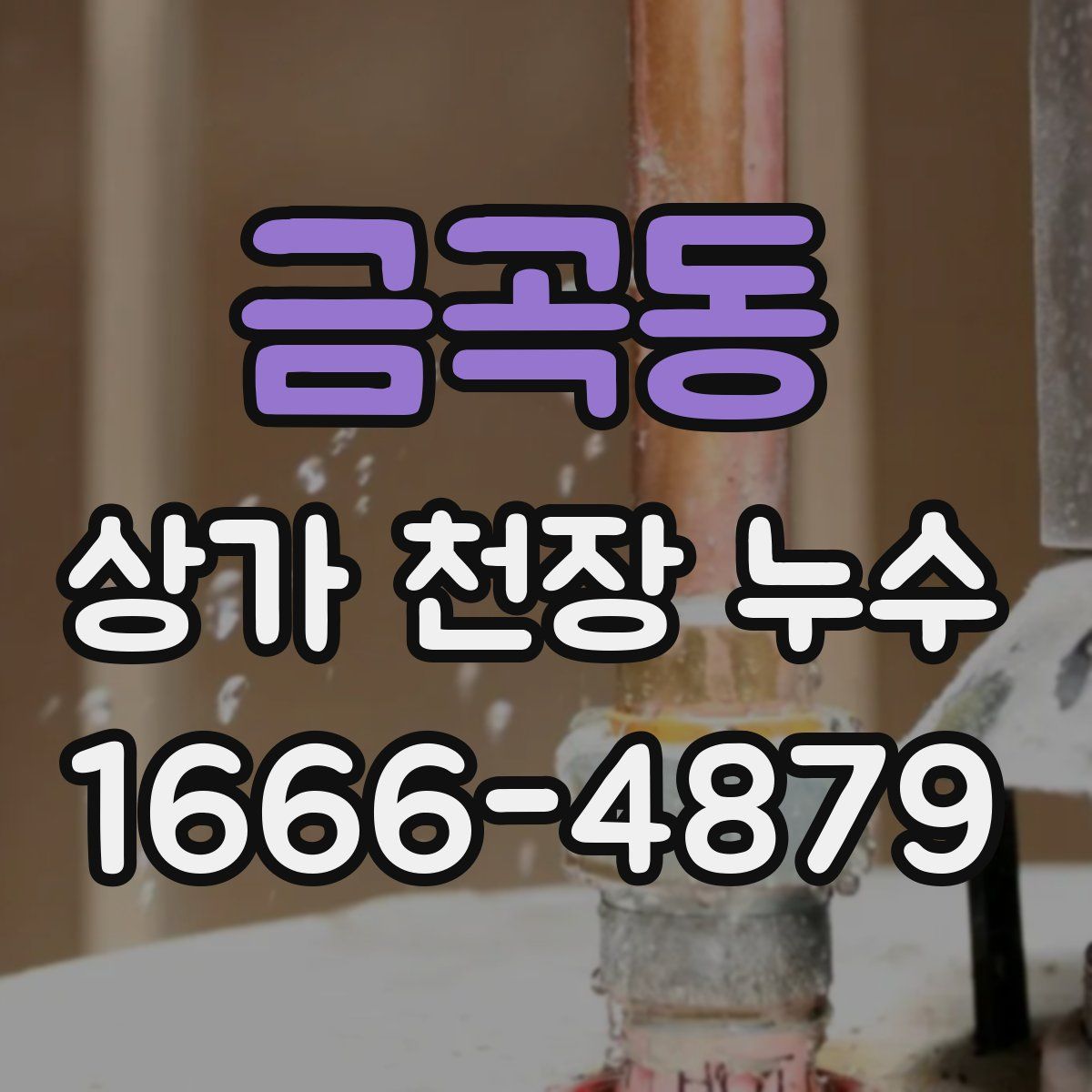 금곡동 상가 천장 누수
