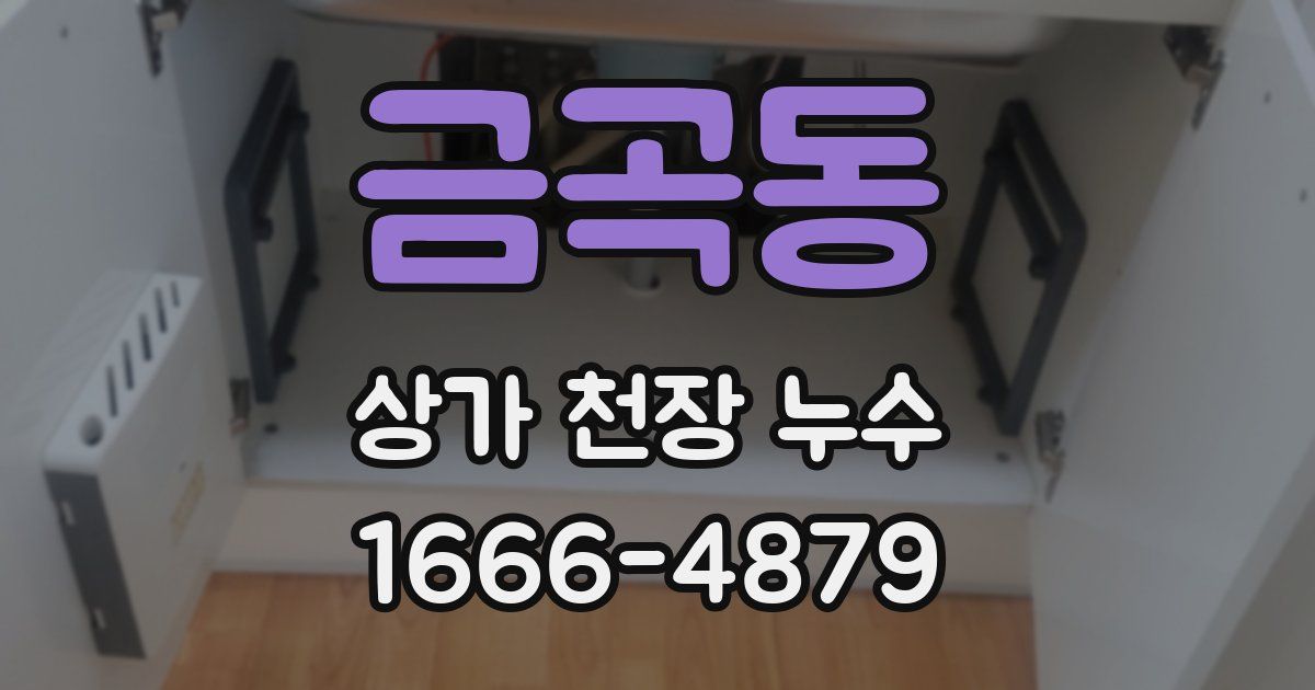 금곡동 상가 천장 누수