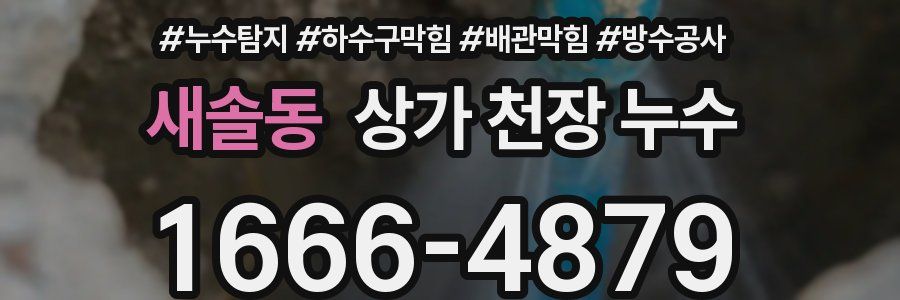 새솔동 상가 천장 누수