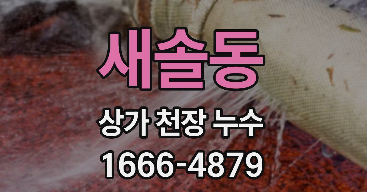 새솔동 상가 천장 누수