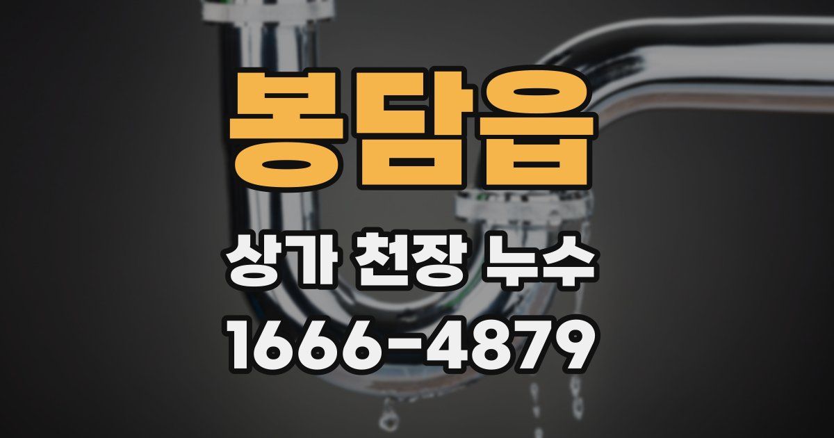 봉담읍 상가 천장 누수