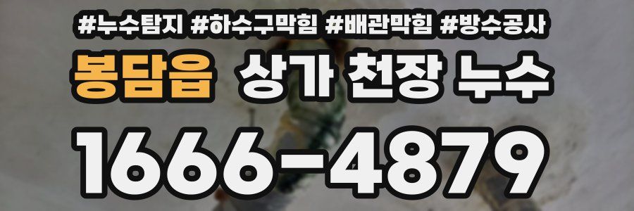 봉담읍 상가 천장 누수