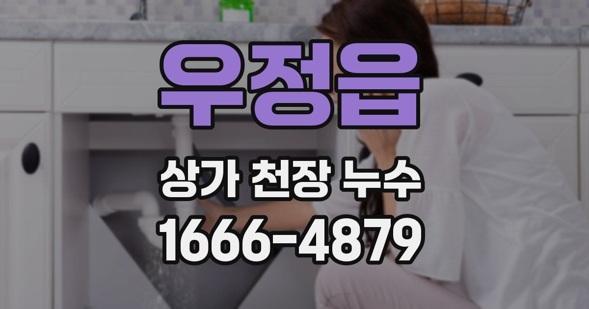우정읍 상가 천장 누수