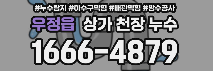 우정읍 상가 천장 누수