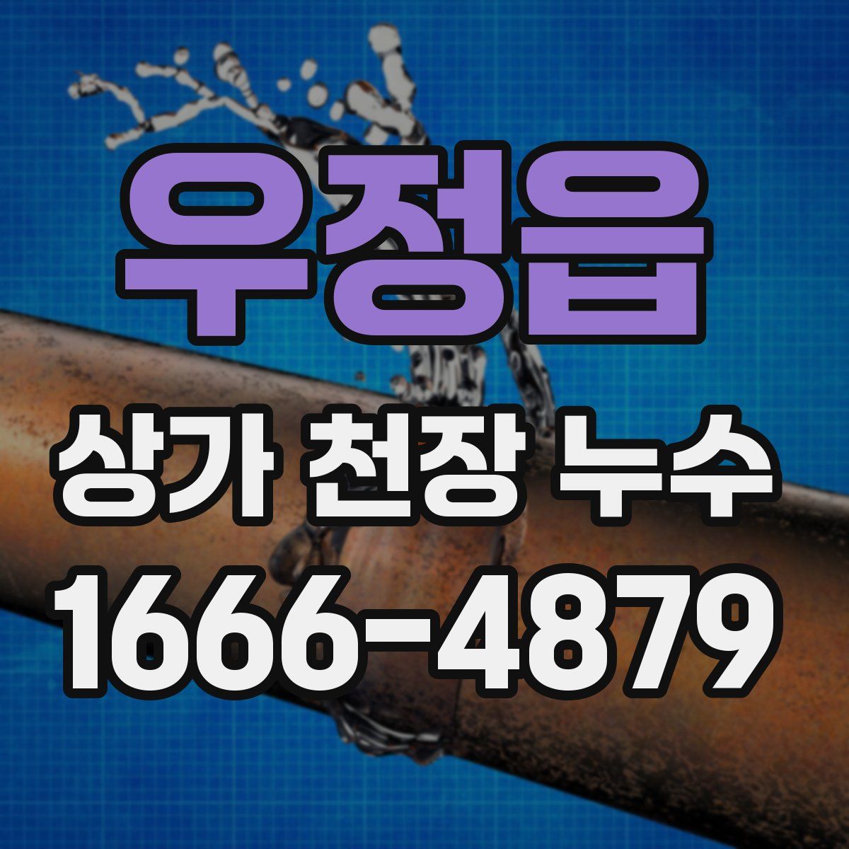 우정읍 상가 천장 누수