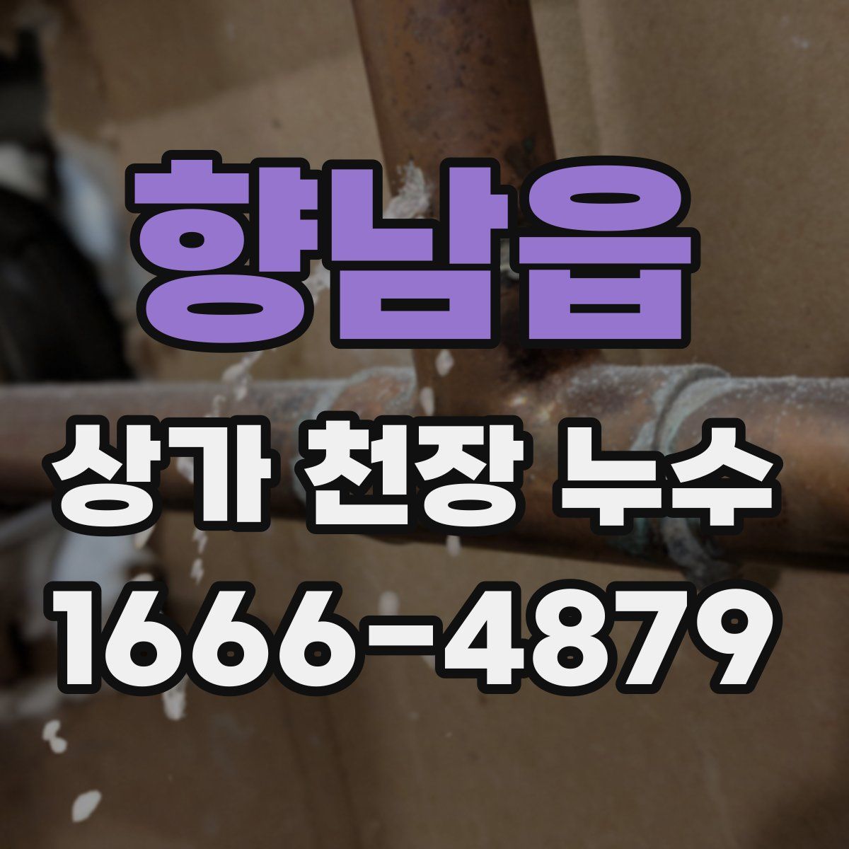 향남읍 상가 천장 누수