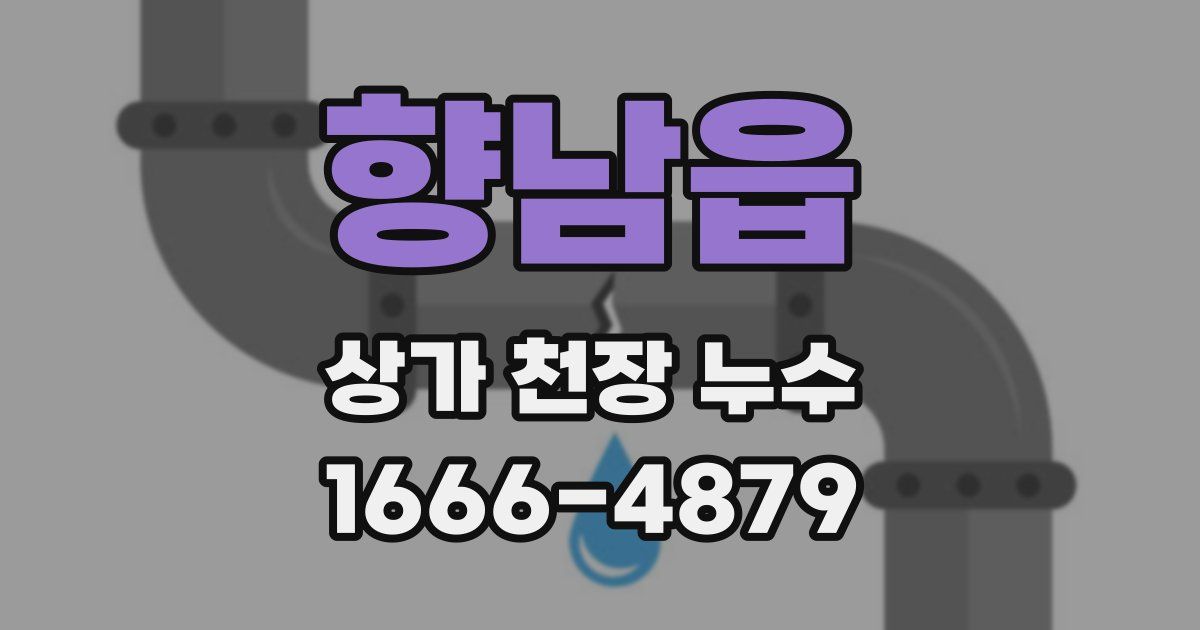 향남읍 상가 천장 누수