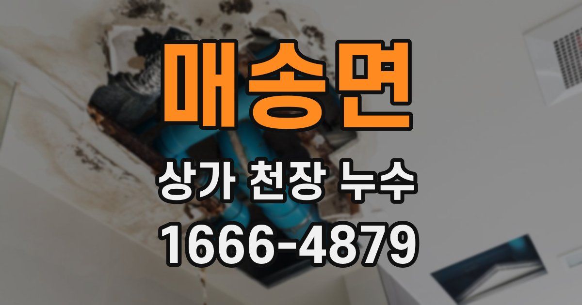 매송면 상가 천장 누수