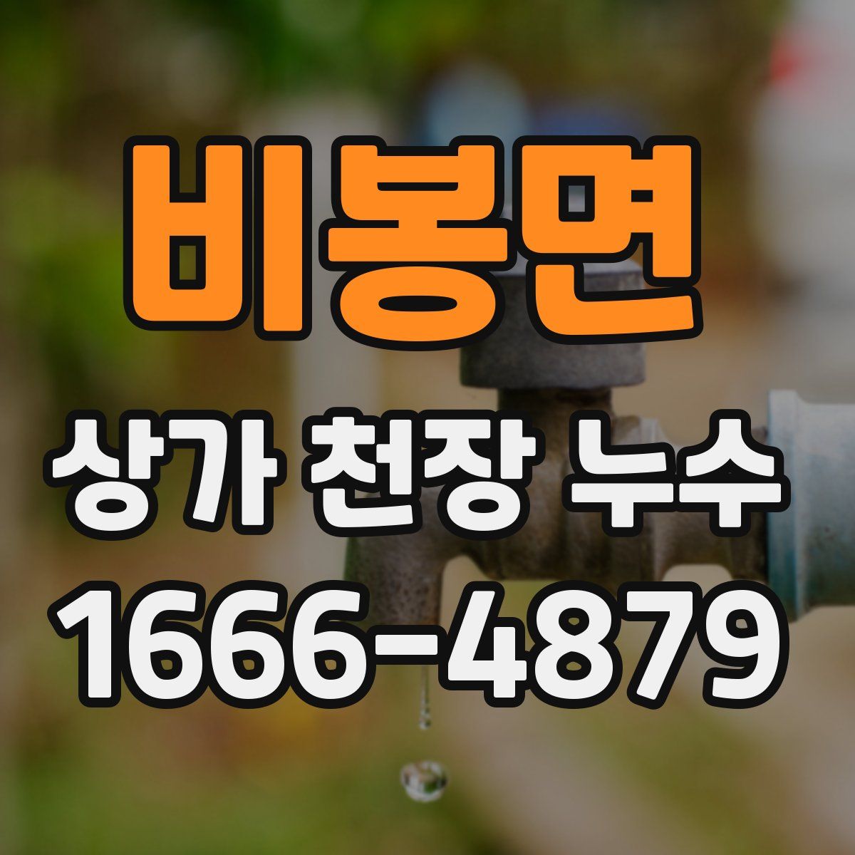 비봉면 상가 천장 누수