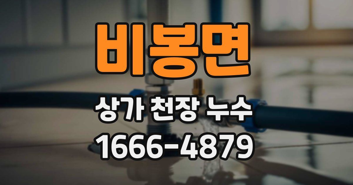 비봉면 상가 천장 누수