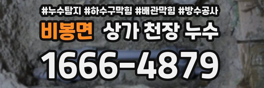 비봉면 상가 천장 누수