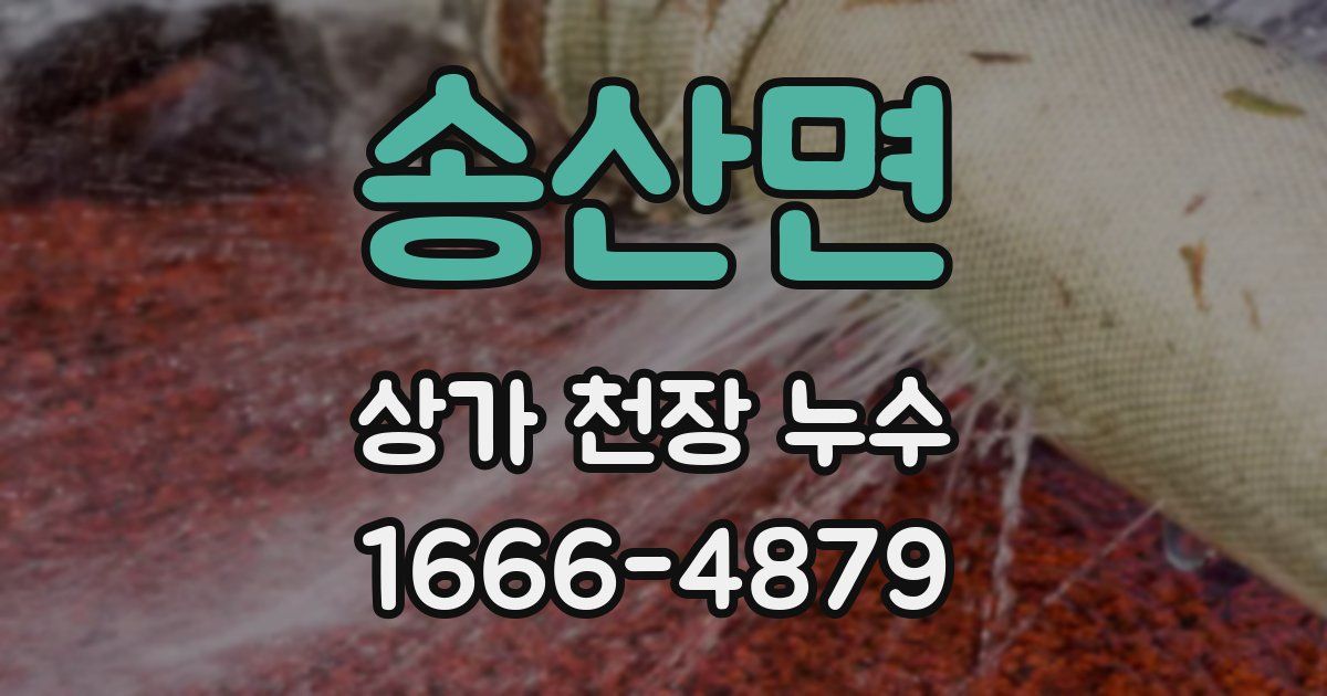 송산면 상가 천장 누수