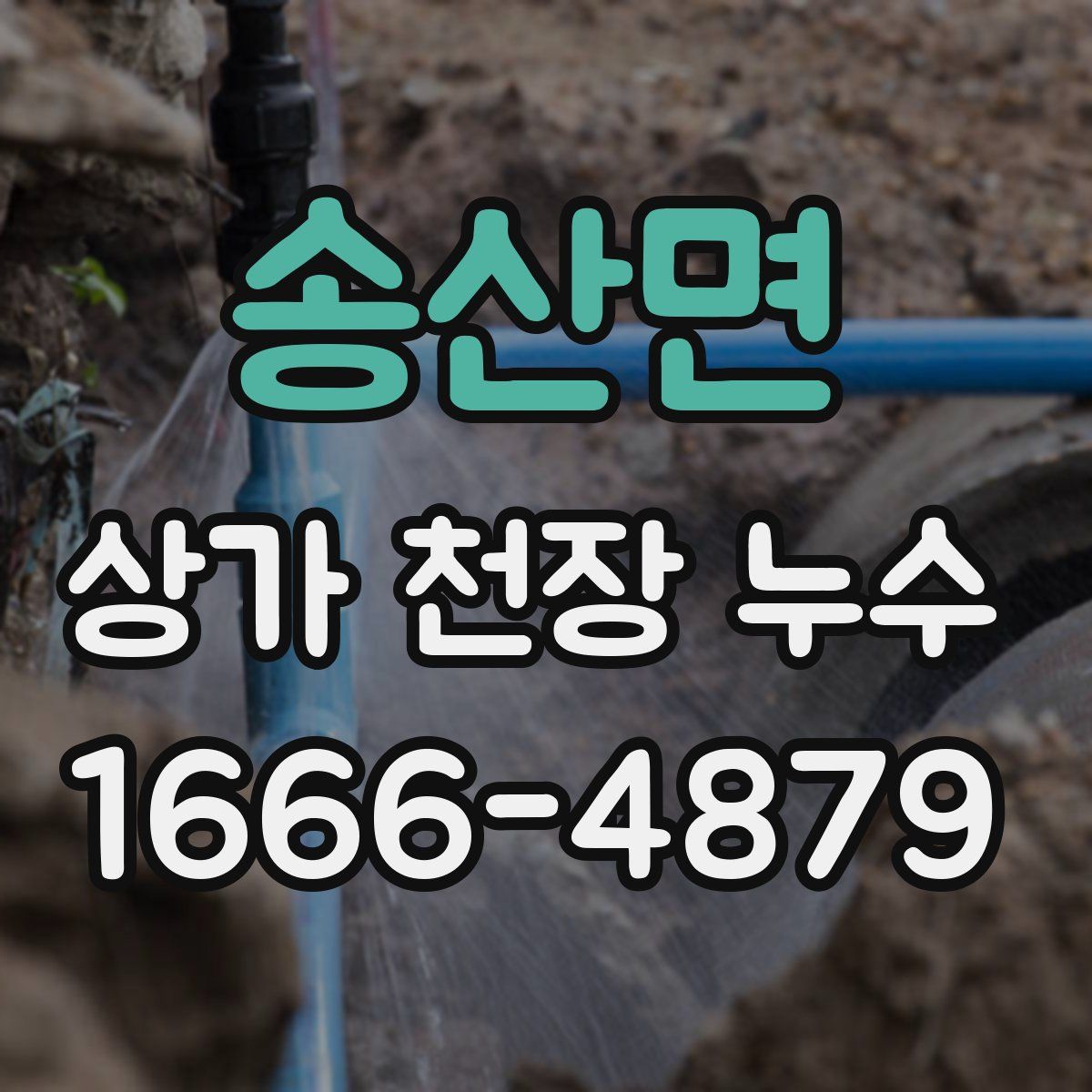 송산면 상가 천장 누수