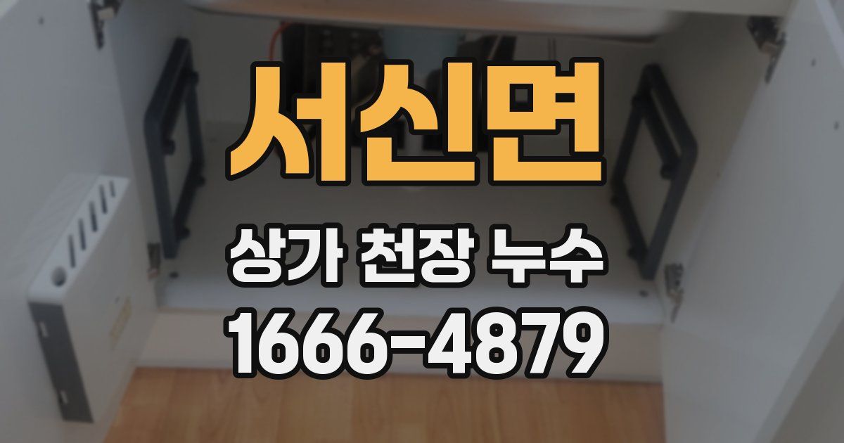서신면 상가 천장 누수