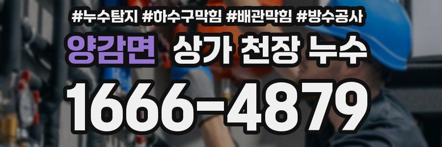 양감면 상가 천장 누수