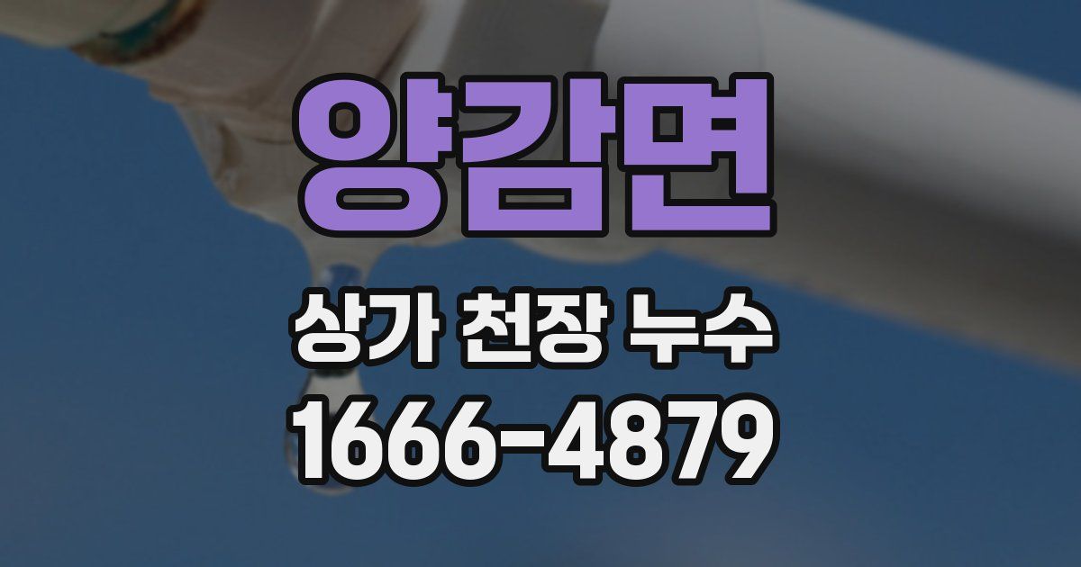 양감면 상가 천장 누수