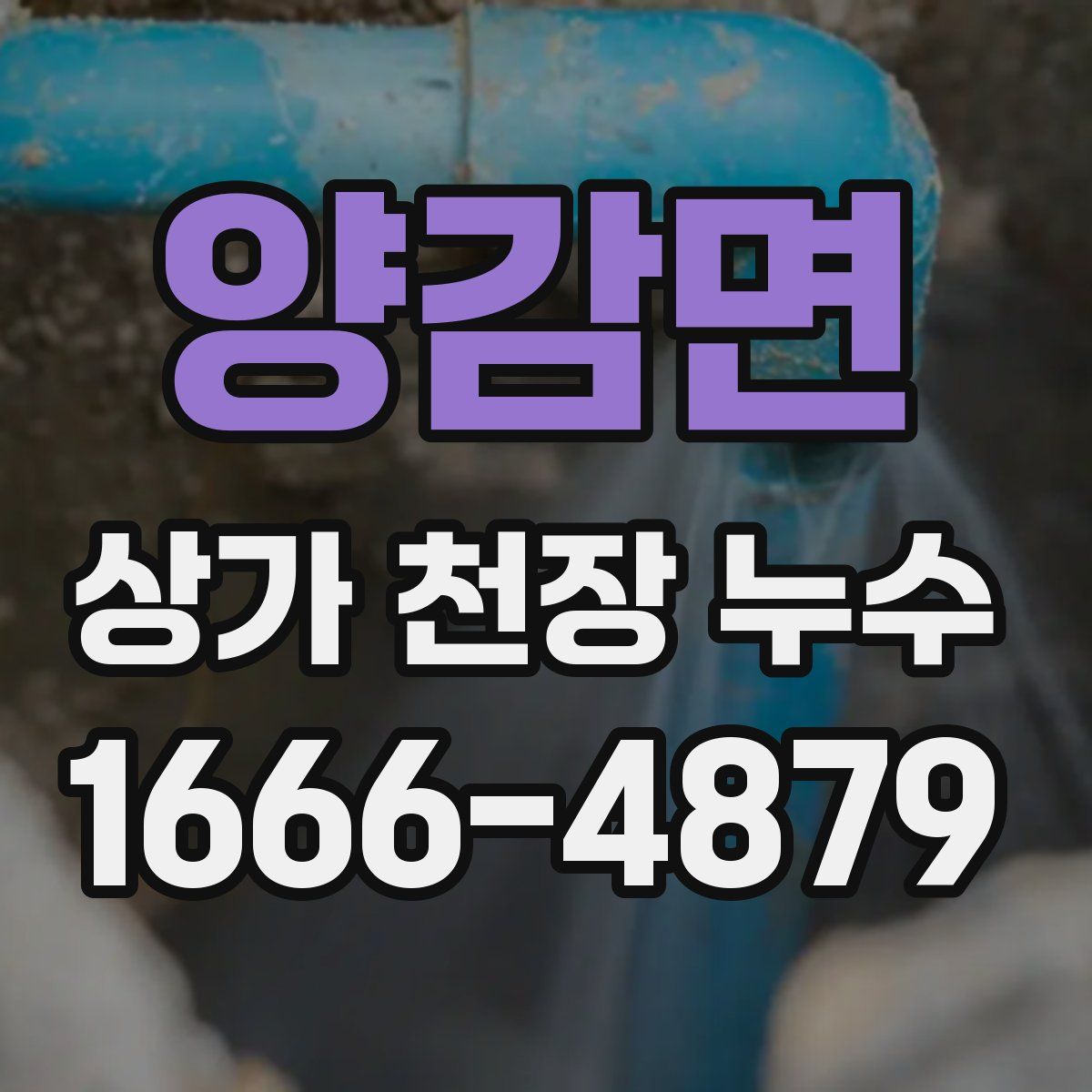 양감면 상가 천장 누수