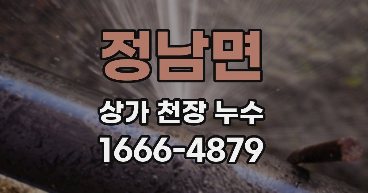정남면 상가 천장 누수
