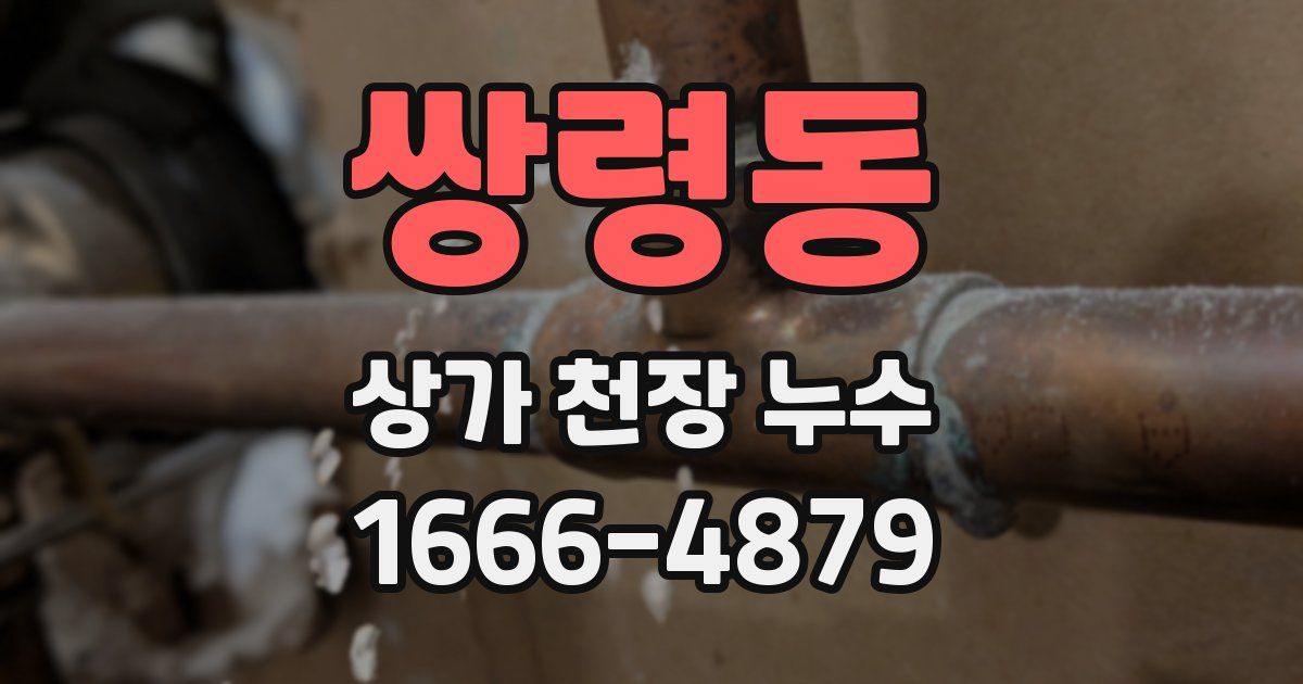 쌍령동 상가 천장 누수