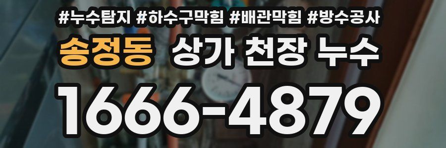 송정동 상가 천장 누수