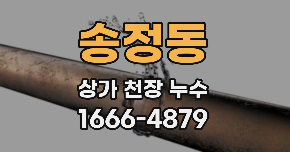 송정동 상가 천장 누수